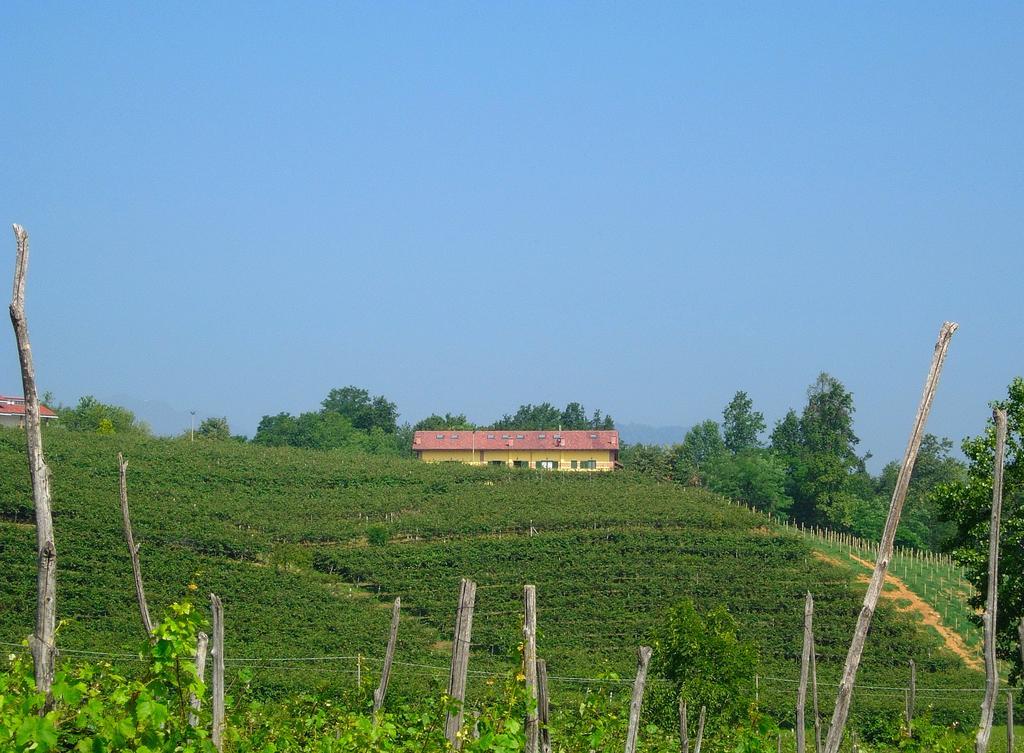 Agriturismo Turina Bricherasio Exterior photo