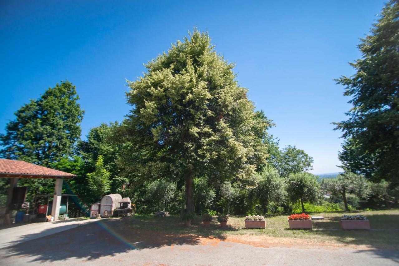 Agriturismo Turina Bricherasio Exterior photo